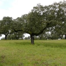 Parque Natural de la Sierra de Cardeña y Montoro