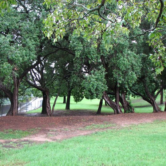 Elizabeth Farm Reserve