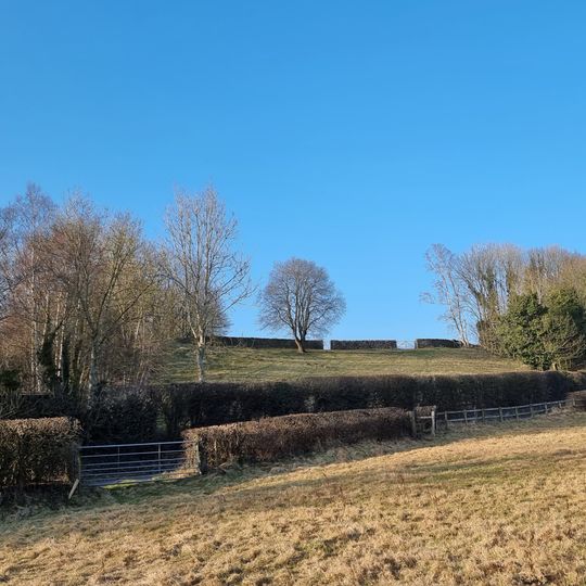 Portfield hillfort