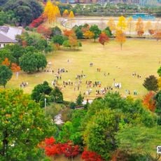 新城総合公園
