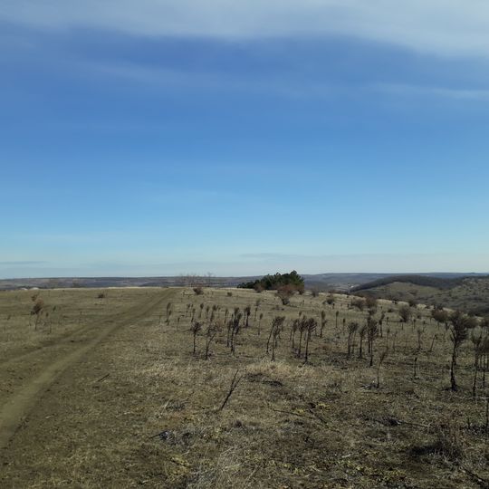 Așezare - Hansca - III