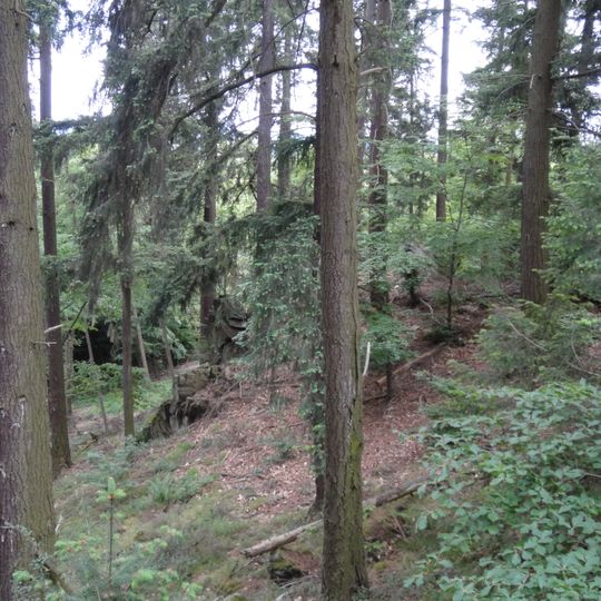 Wallanlage Würzburg