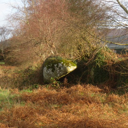 Portal Tomb von Broomfields