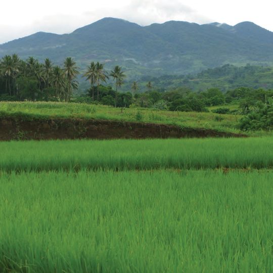 Provincia di Cagayan