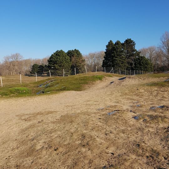 Dune fossile de Ghyvelde