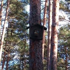 Obrázek jihovýchodně od Zádubu