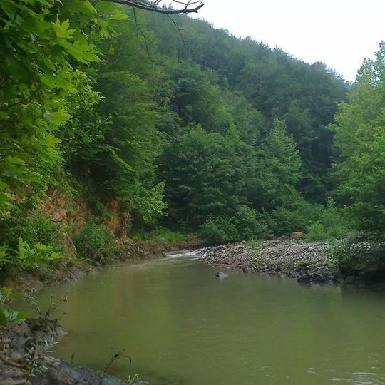 Parco nazionale di Küre Mountains