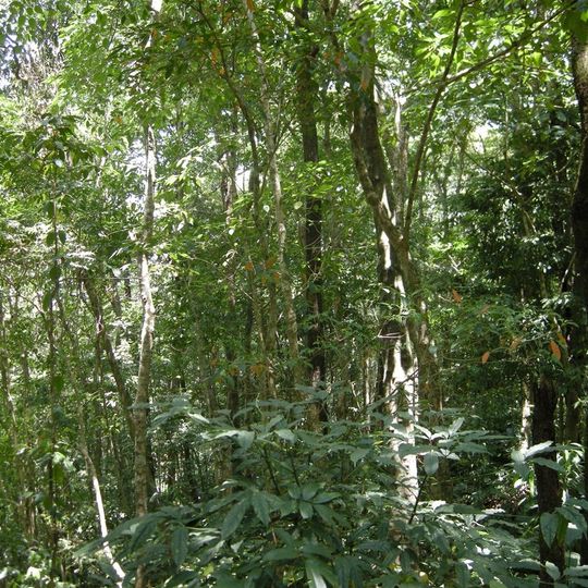 Réserve de tigres de Dampa