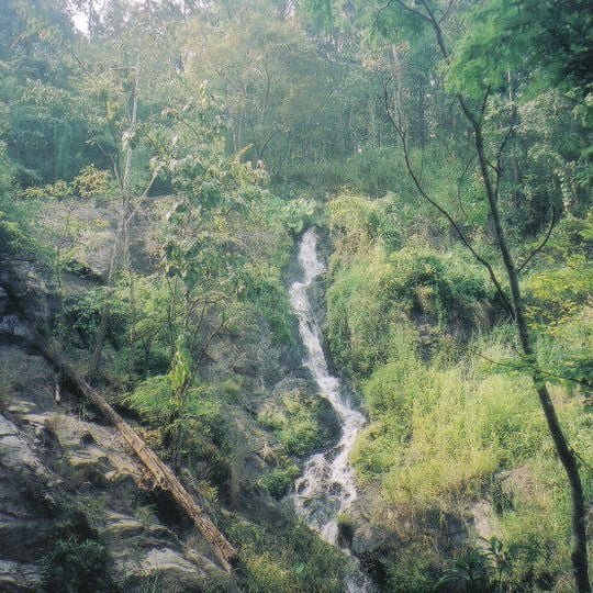 Parc national de Khlong Wang Chao