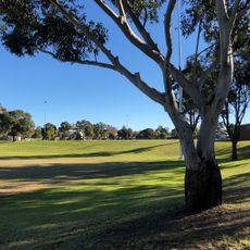 Allum Park