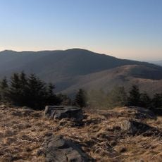 Roan Mountain