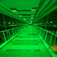 Davenport Skybridge