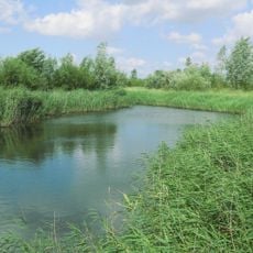 Bentwoud, Netherlands