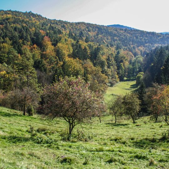 Schottental bei Heldmannsberg