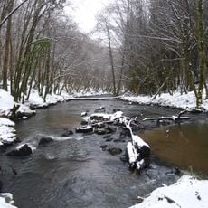 Forêt de Blanchefort