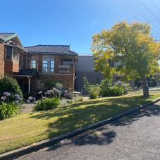 First Orange Orchard