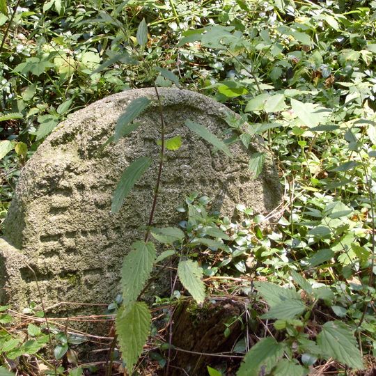 Jewish cemetery in Radnice