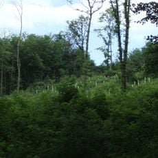 Östlicher Teutoburger Wald (LP Bielefeld-Ost)