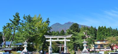 Panoramic View 2