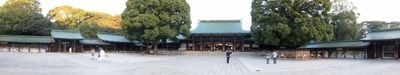Panoramic View 5