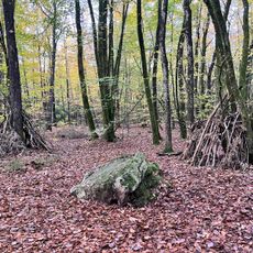 Menhir dit Pierre des Druides