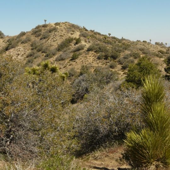 Eureka Peak