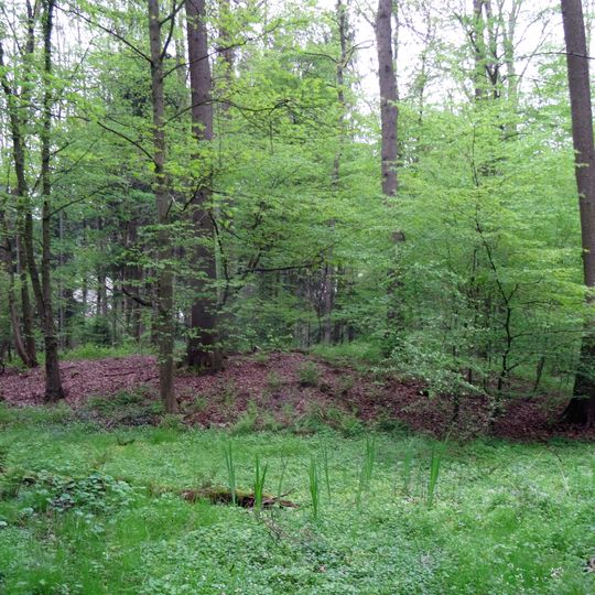 Motte Wiebershausen