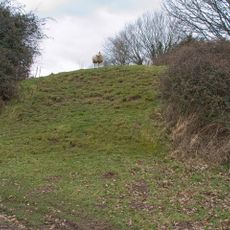 Stapleton Motte