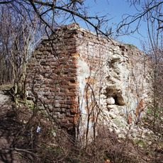 Castle in Szczebrzeszyn