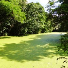 Park w Górce Duchownej