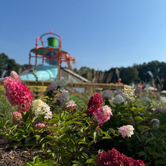 Park Wodny Polanica-Zdrój