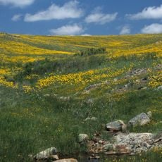 Wichita Mountains Wildlife Refuge