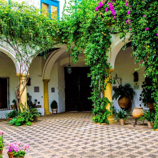 Palacio de los Marqueses de Viana