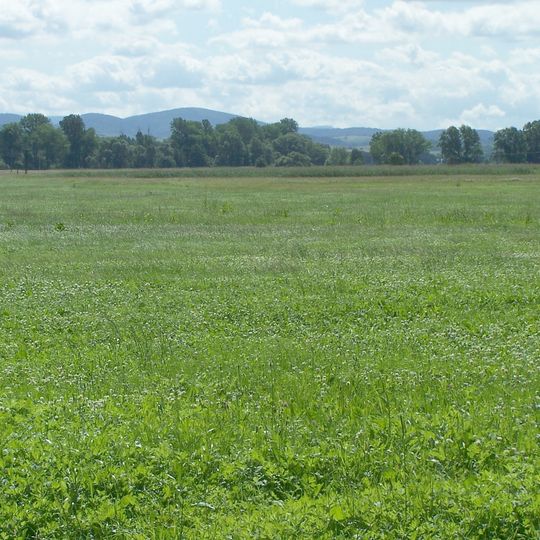 Erlensee - Maiwiesen