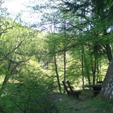 Ritterstein 263 "Forstmeister Emil Haupt"