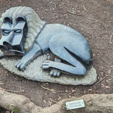 Resting Lion
