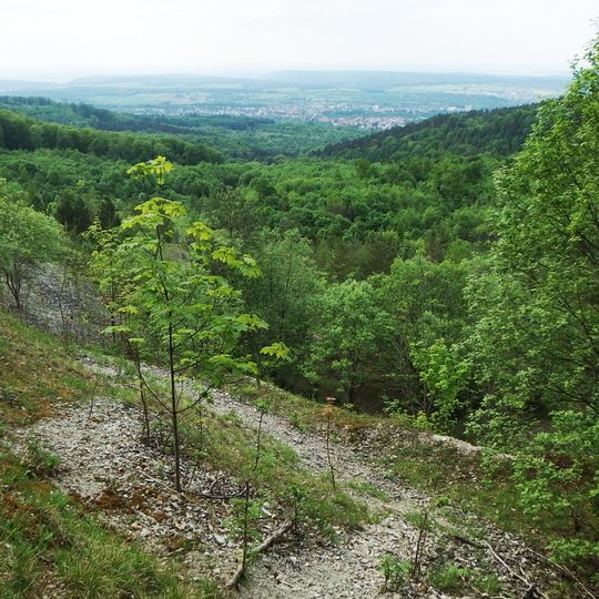 Bergrutsch am Hirschkopf