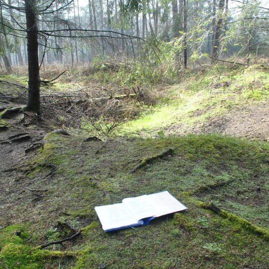 Großsteingräber bei Oerel