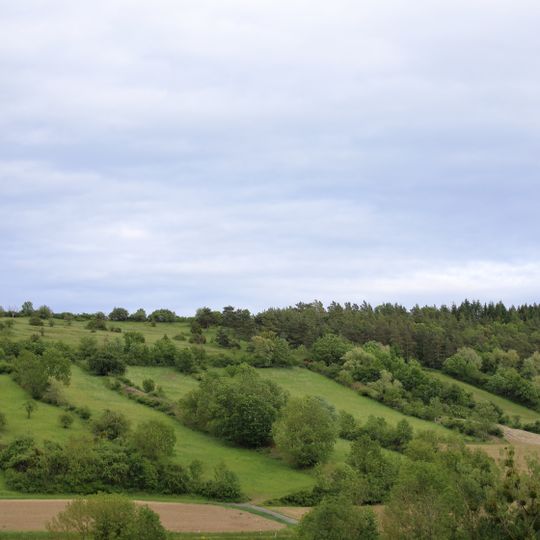 Halbtrockenrasen Ameisloh II