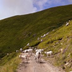 Monte Tanarello