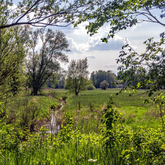 Westricher Moorniederung