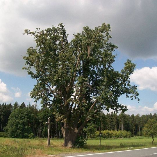 Kříž pod lipou u Hodušína