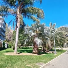 Parco Delle Carmelitane