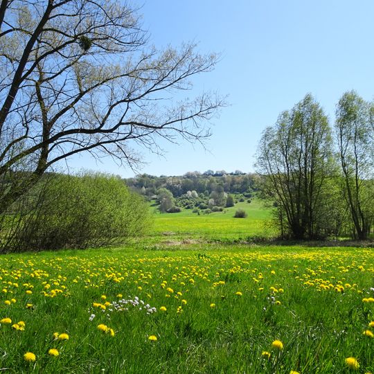 Quellgebiet der Weißen Gelster
