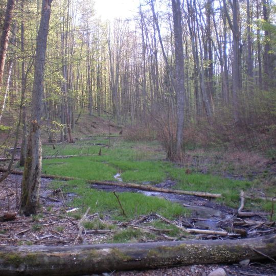 Nature reserve Cisowa