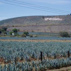 Agave Landscape and Ancient Industrial Facilities of Tequila