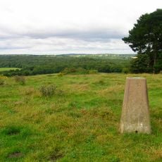 Briddlesford Copses