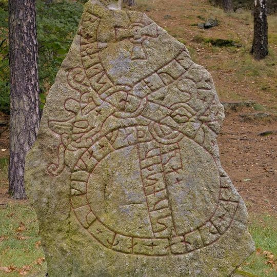 Södermanlands runinskrifter 269