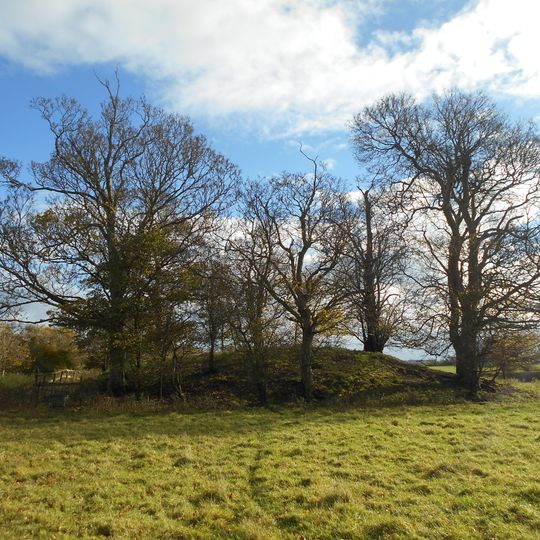 Bowl barrow known as `Wimble Toot'