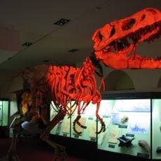 Vyatka paleonthologic museum